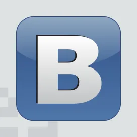 B Vkontakte the Social Network